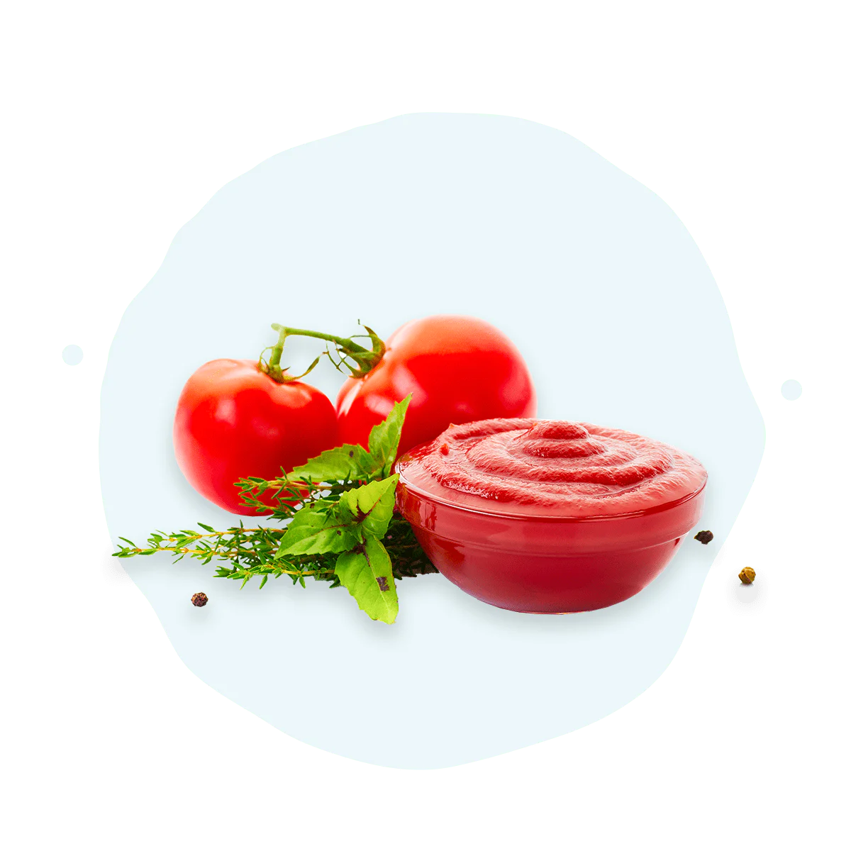 Sughi Pronti e Passata di Pomodoro in vendita online