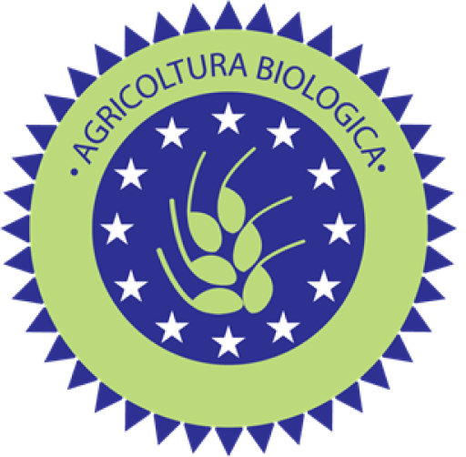 bio bio