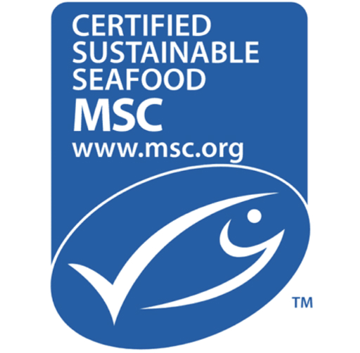 msc msc