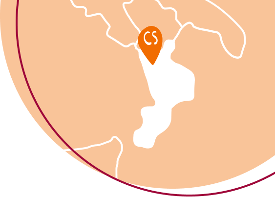 Spesa online Cosenza