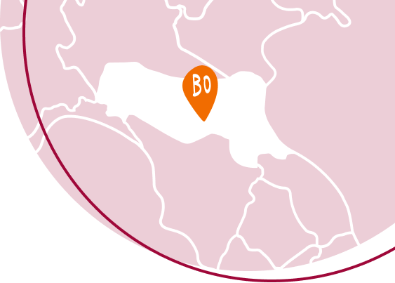 Spesa online Bologna