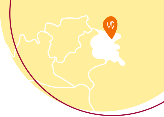 Spesa Online Udine