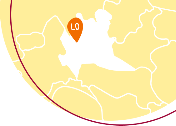 Spesa online Lodi