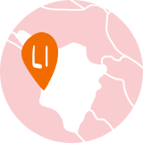 Spesa Online Livorno