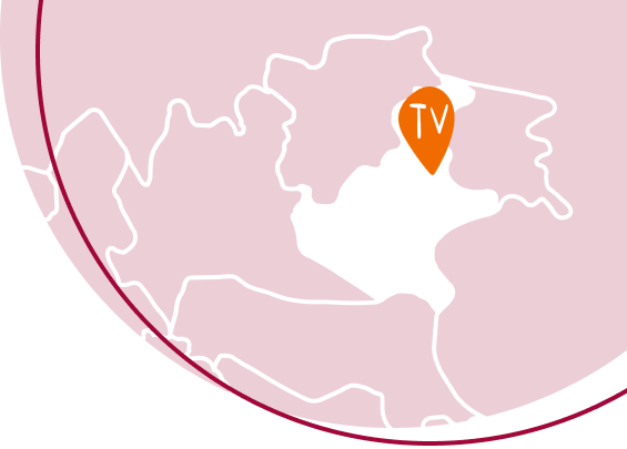 Spesa Online Treviso