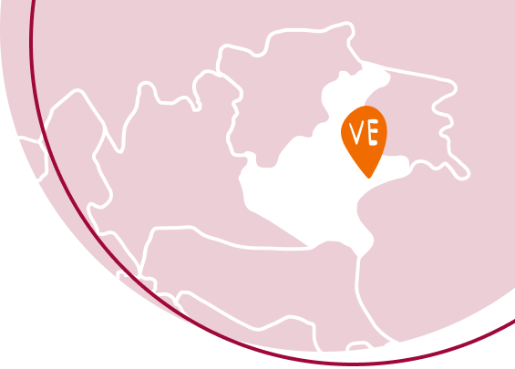 Spesa Online Venezia