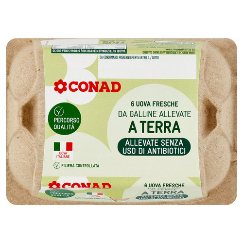 6 Uova Fresche da Galline Allevate a Terra senza uso di antibiotici Percorso Qualità Conad
