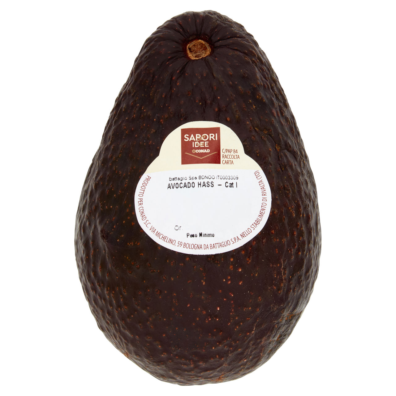 Avocado Hass Cat. I SAPORI E IDEE CILE