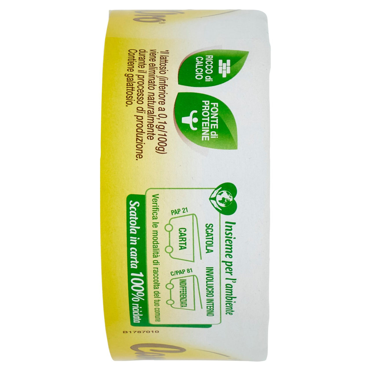 Camoscio d'Oro l'Originale 200 g Conad