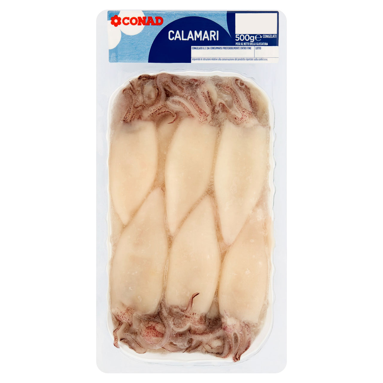 Calamari Congelati 500 g Conad in vendita online