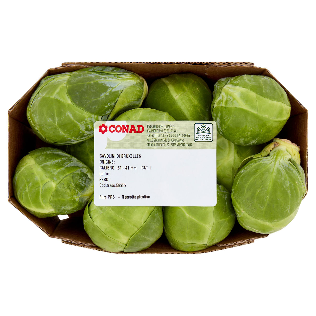 CONAD Cavolini di Bruxelles Paesi Bassi Cal. 31-41 mm 370 g