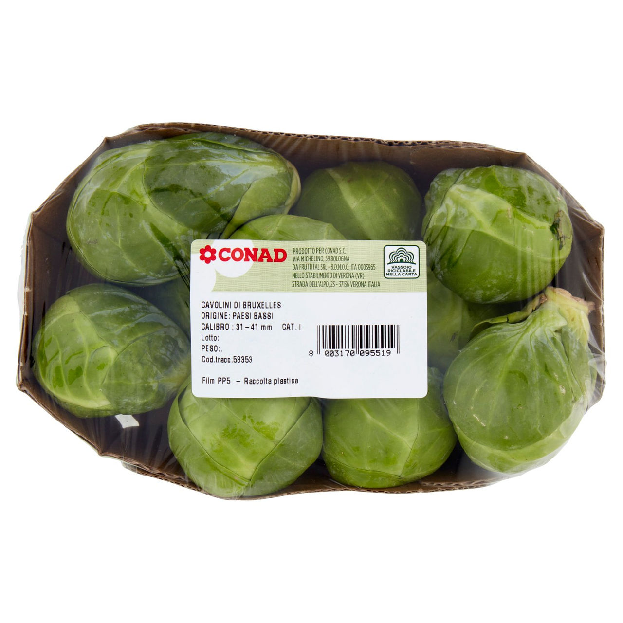 CONAD Cavolini di Bruxelles Paesi Bassi Cal. 31-41 mm 370 g