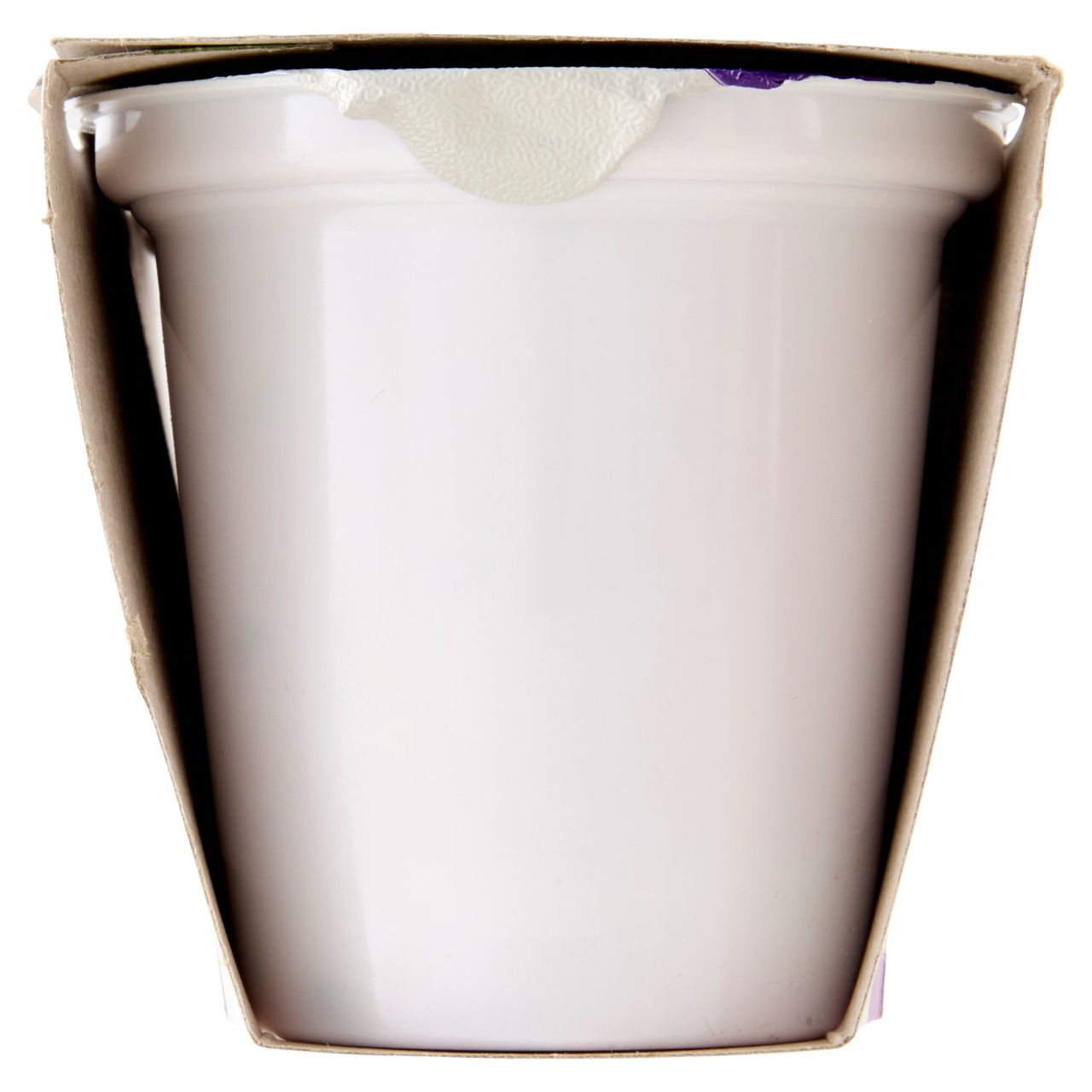 Yogurt Intero ai Frutti di Bosco 2x125g Conad