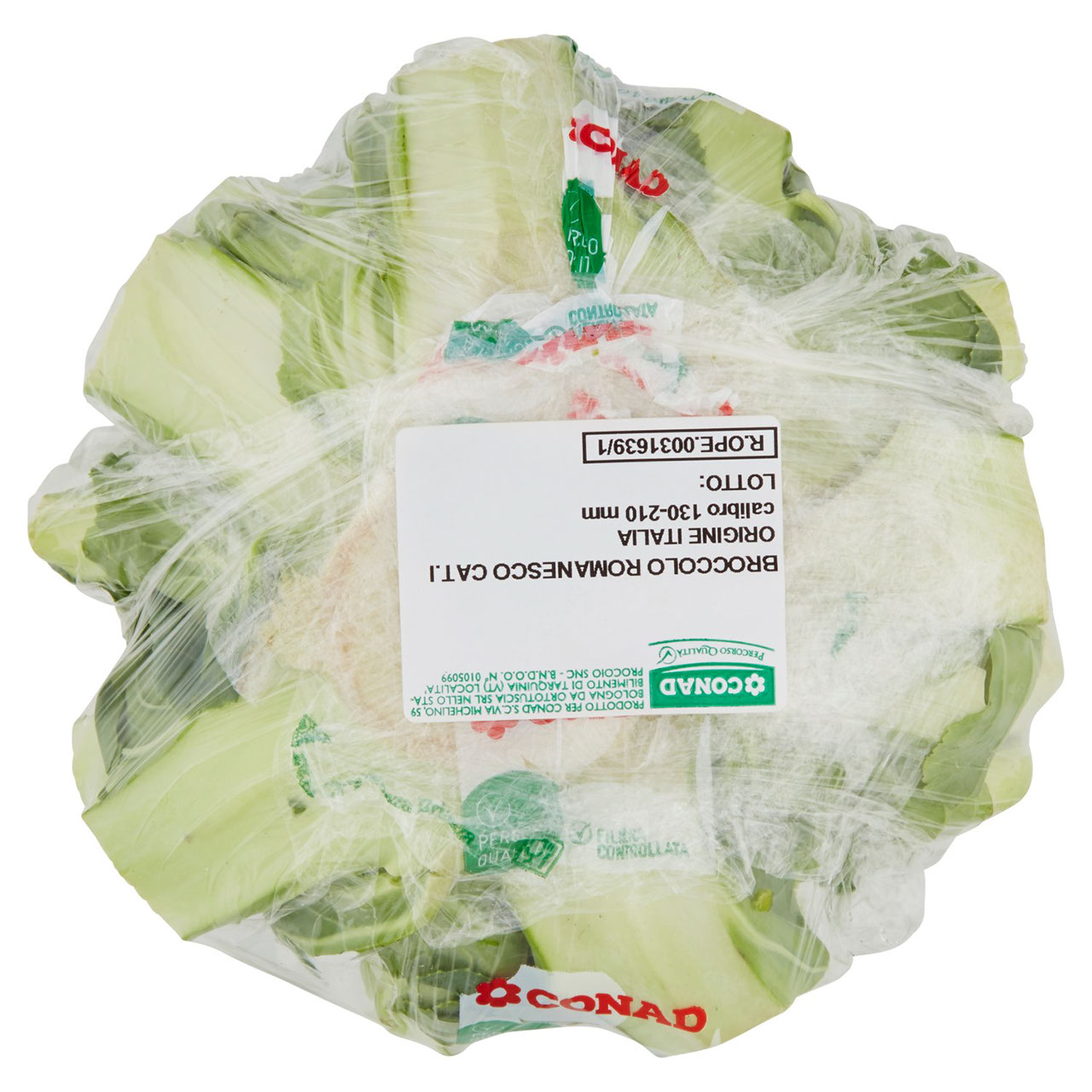 CONAD PERCORSO QUALITÀ Broccolo Romanesco