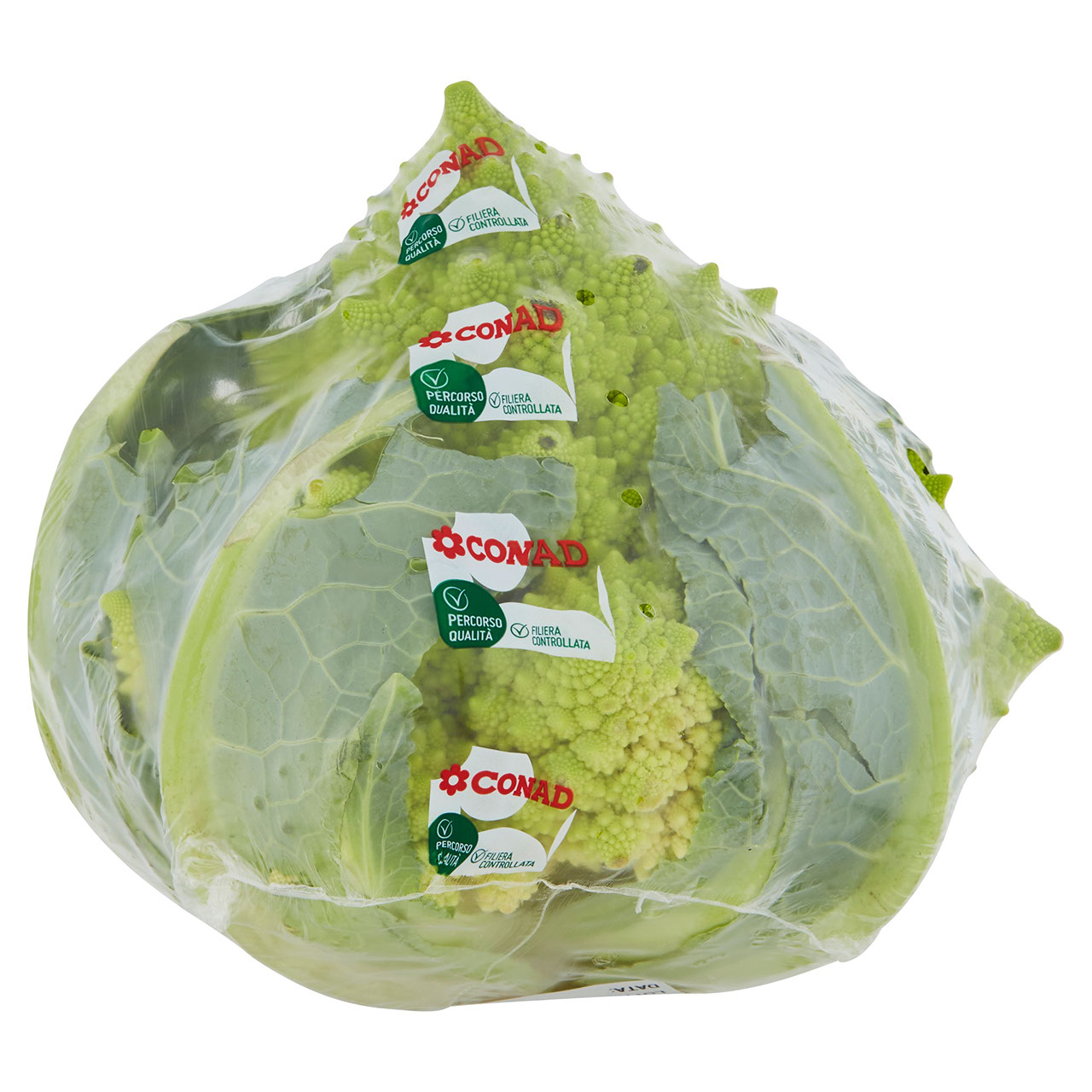 CONAD Percorso Qualità Broccolo Romanesco Italia cal. 130-210 mm