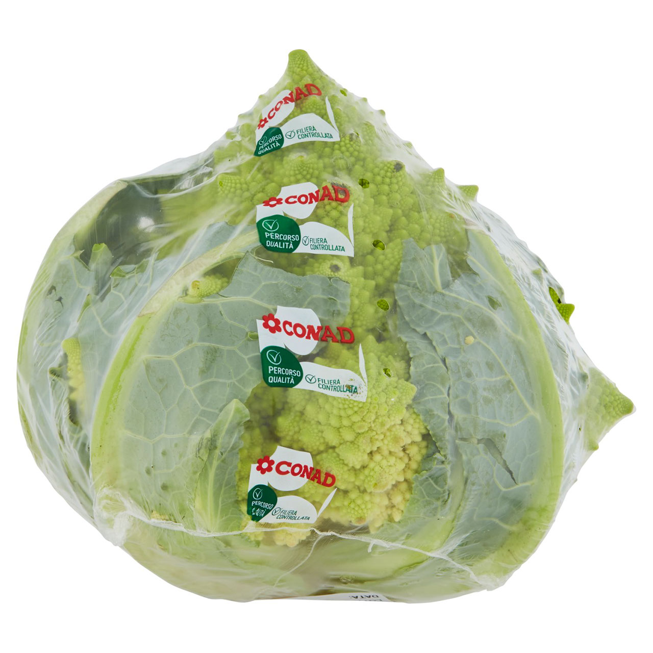 CONAD Percorso Qualità Broccolo Romanesco Italia cal. 130-210 mm