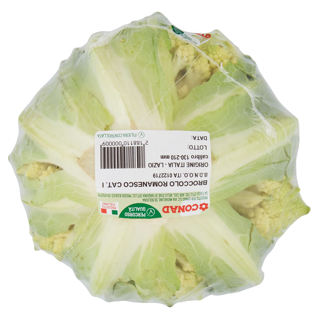 CONAD Percorso Qualità Broccolo Romanesco Italia cal. 130-210 mm