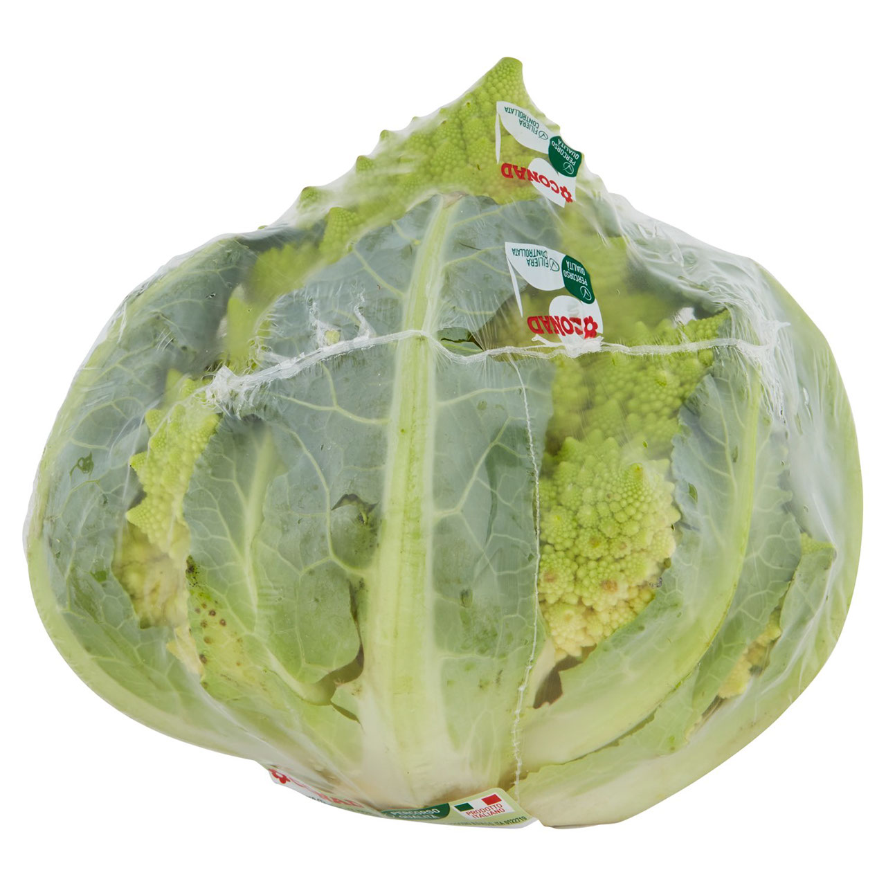 CONAD Percorso Qualità Broccolo Romanesco Italia cal. 130-210 mm