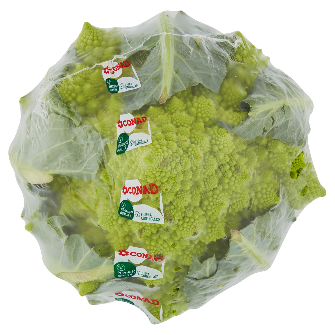 CONAD Percorso Qualità Broccolo Romanesco Italia cal. 130-210 mm