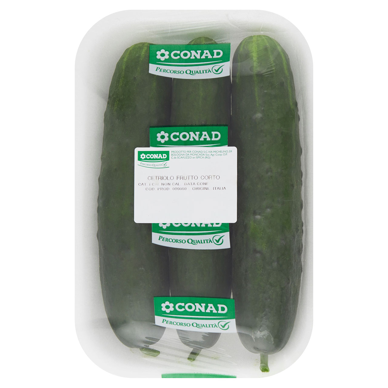 CONAD PERCORSO QUALITÀ Cetriolo Frutto Corto Italia circa 600 g