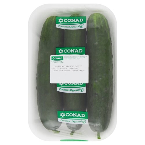 CONAD PERCORSO QUALITÀ Cetriolo Frutto Corto Italia circa 600 g