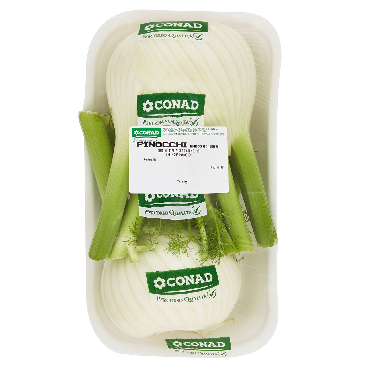 CONAD PERCORSO QUALITÀ Finocchi Italia cal. 90-110