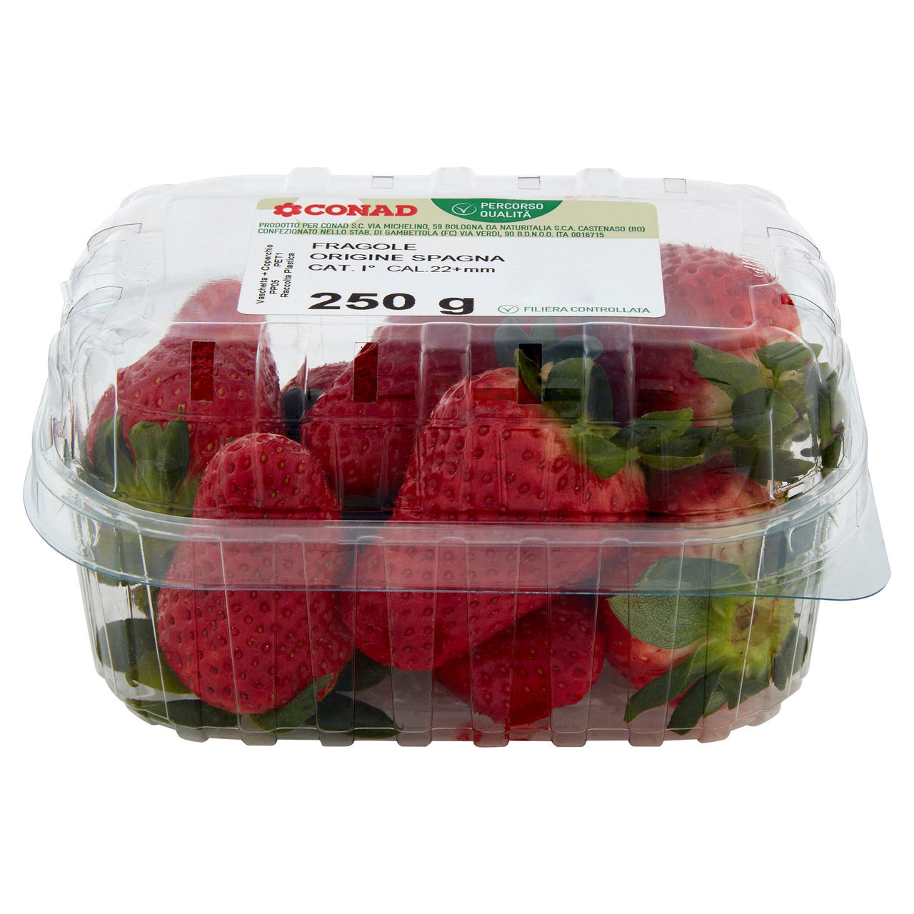 CONAD Percorso Qualità Fragole Spagna Cal. 22 mm 250 g