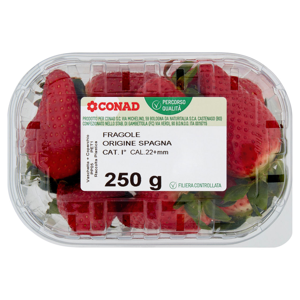 CONAD Percorso Qualità Fragole Spagna Cal. 22 mm 250 g