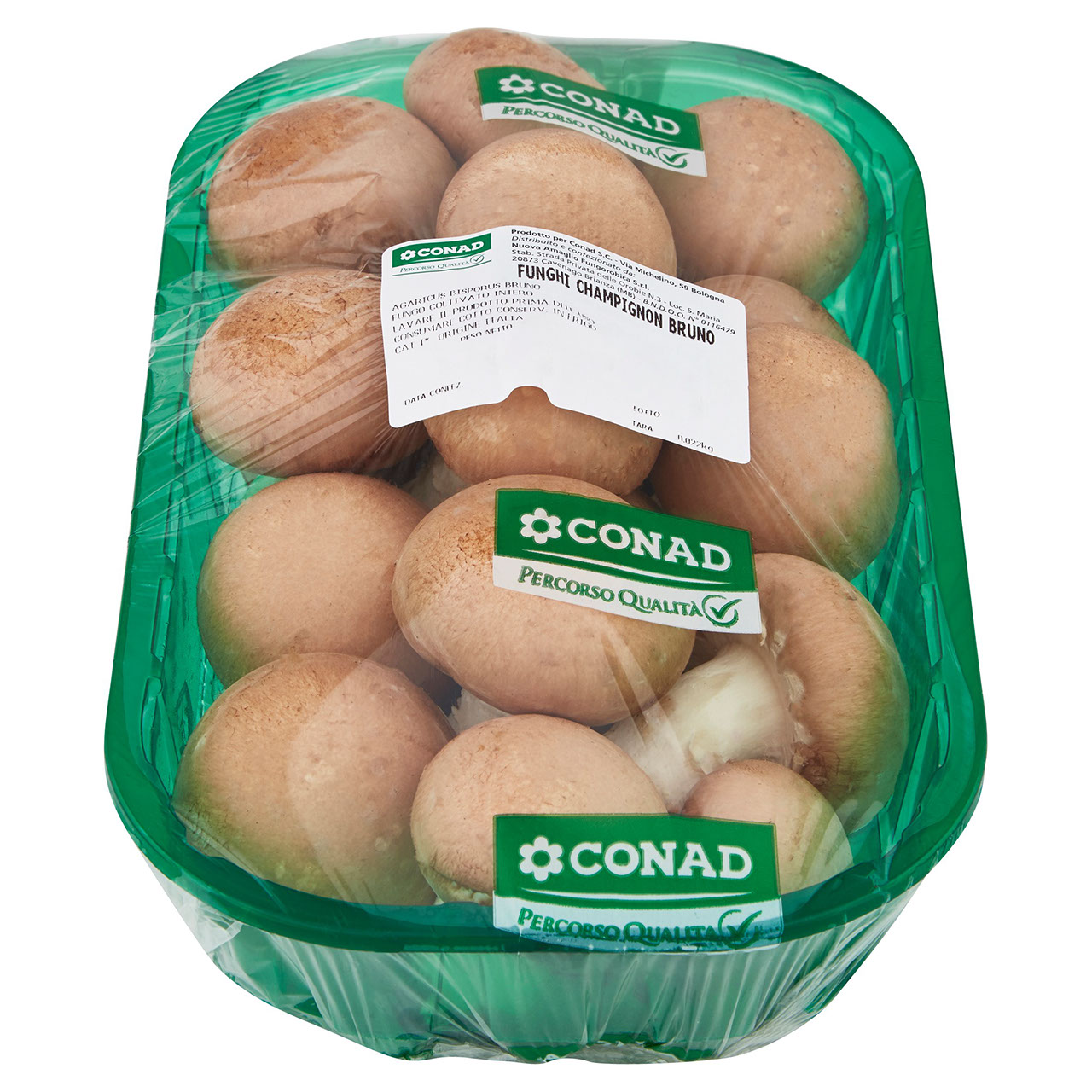 CONAD Percorso Qualità Fungo Champignon Bruno Coltivato Italia 0,500 kg