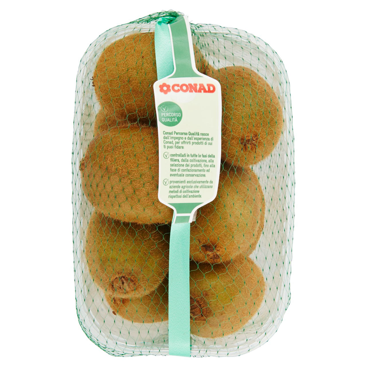 CONAD Percorso Qualità Kiwi Hayward Cile cal. 93/105gr 1 kg