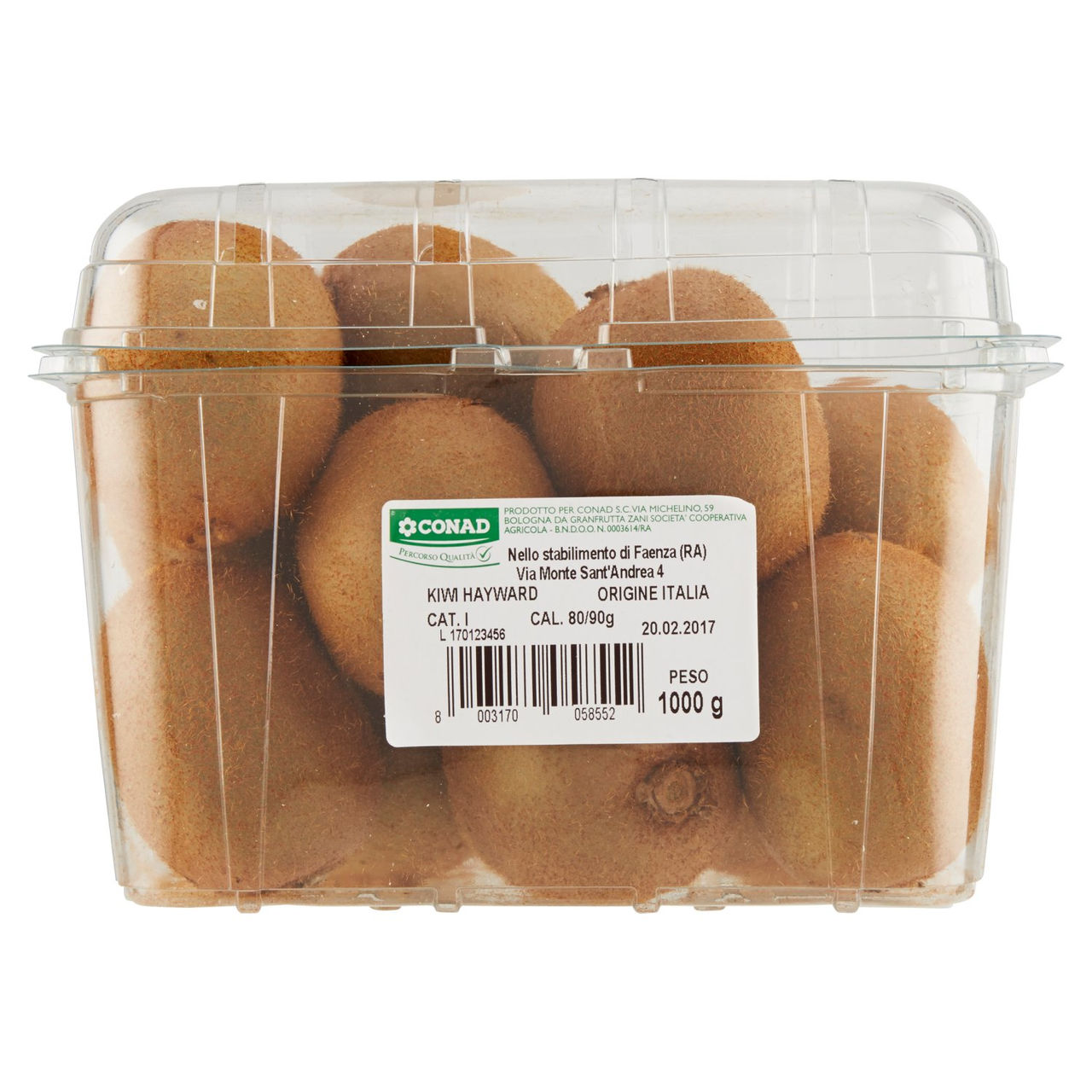 CONAD Percorso Qualità Kiwi Hayward Italia cal. 80/90 1000 g