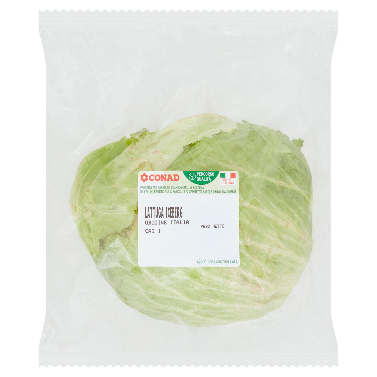 CONAD Percorso Qualità Lattuga Iceberg Italia