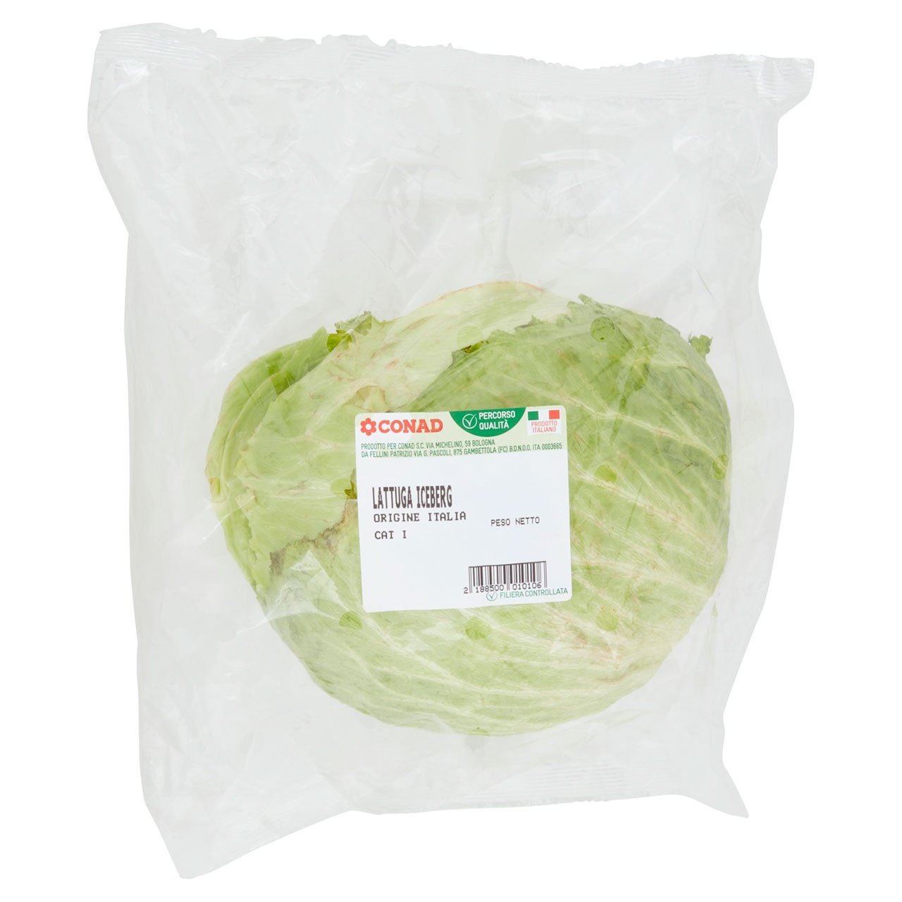 CONAD Percorso Qualità Lattuga Iceberg Italia