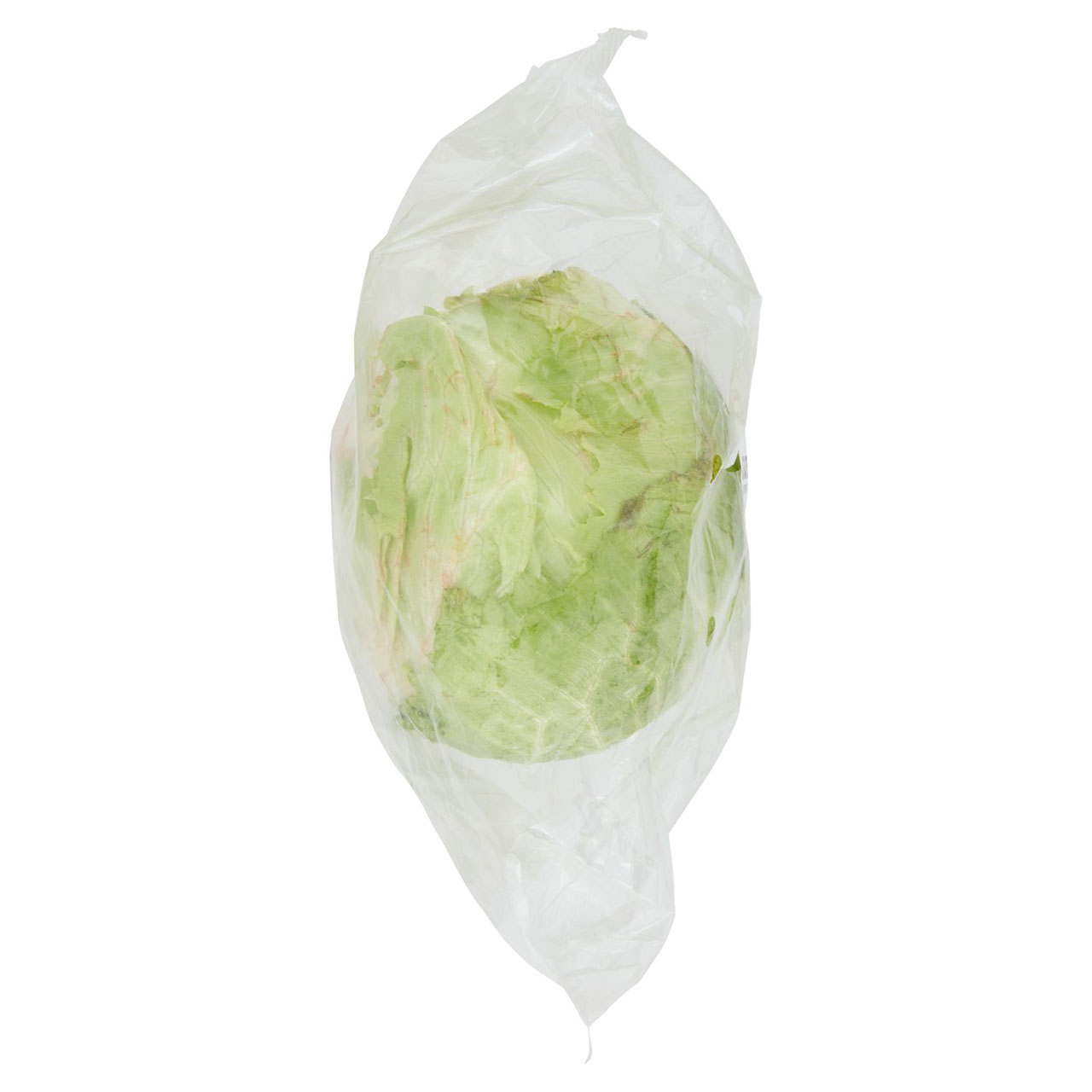 CONAD Percorso Qualità Lattuga Iceberg Italia
