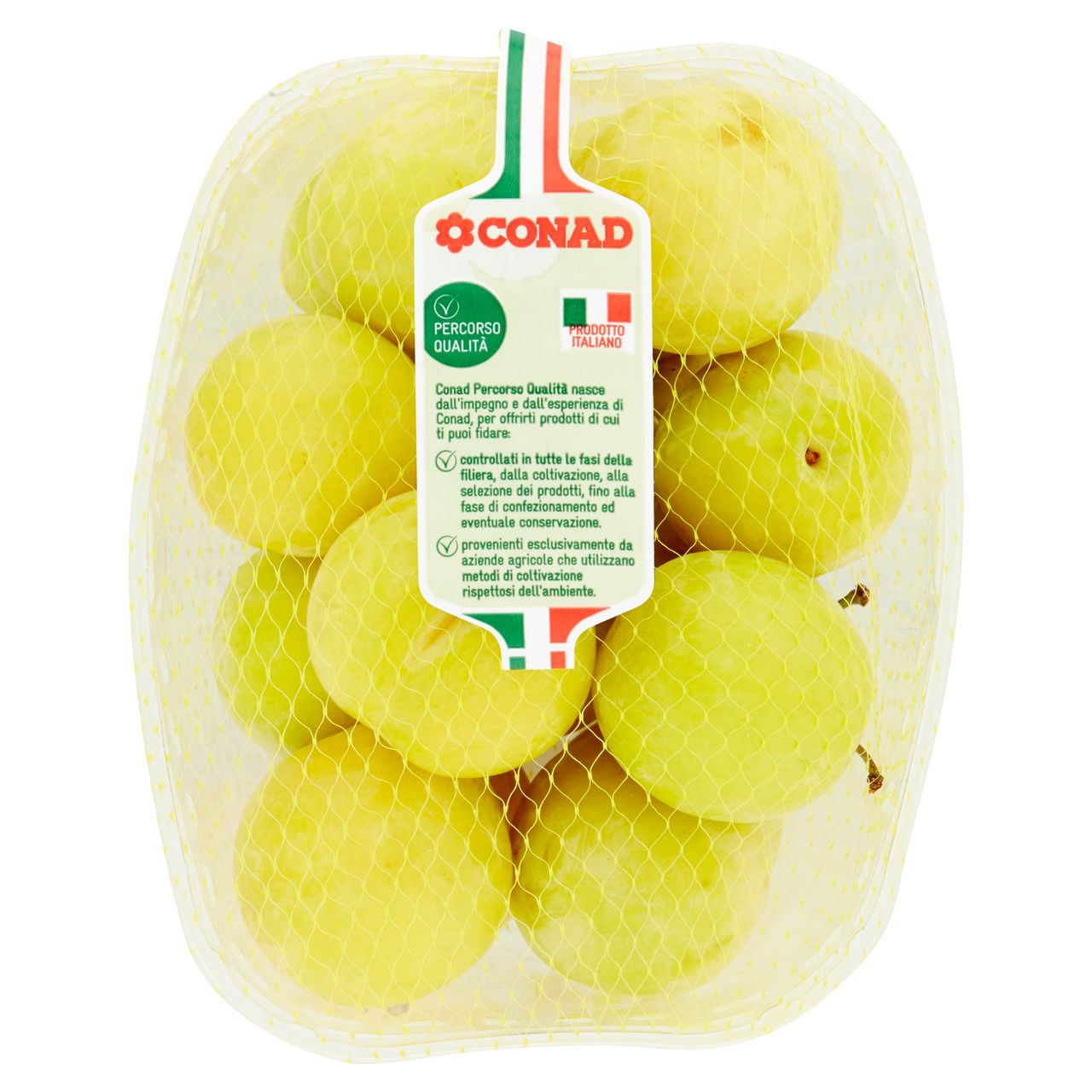 CONAD Percorso Qualità Susine Gialle Golden Plum Italia cal. 40/45 1 kg