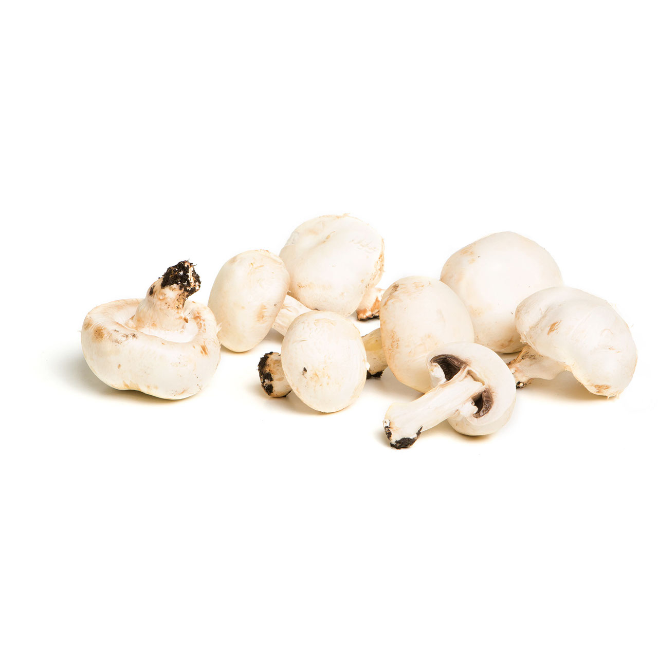 Funghi Champignon Fiorone Origine Italia Cat. Extra