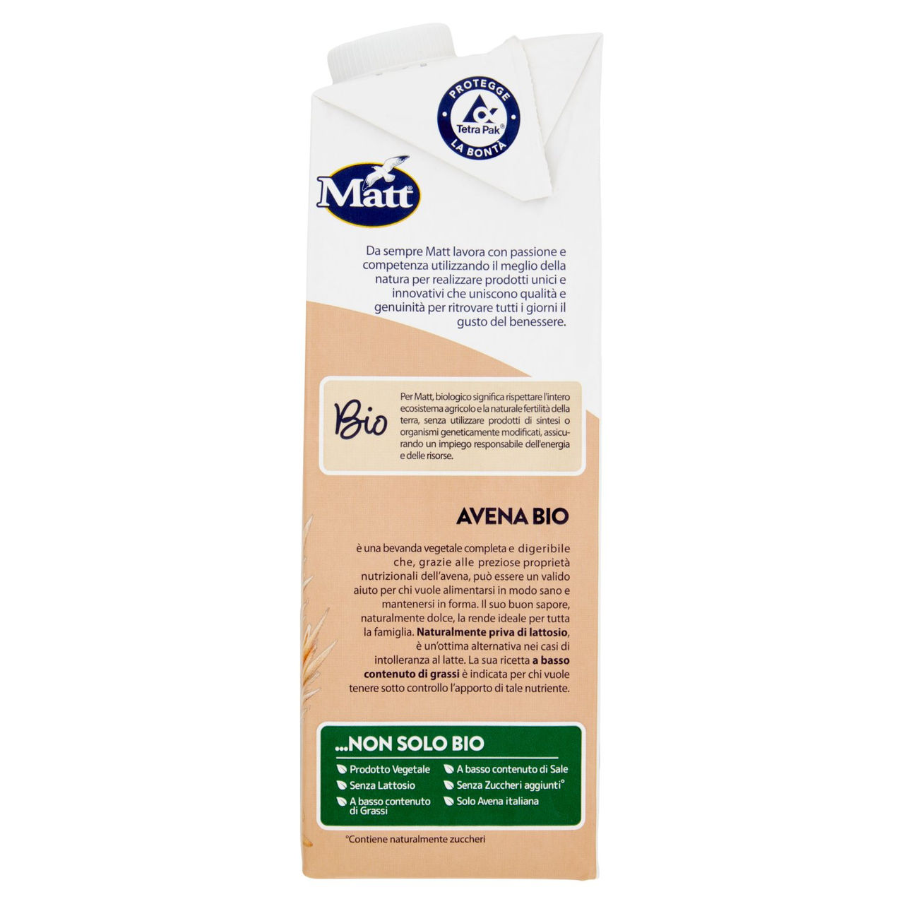 Matt Avena Bio 1 L