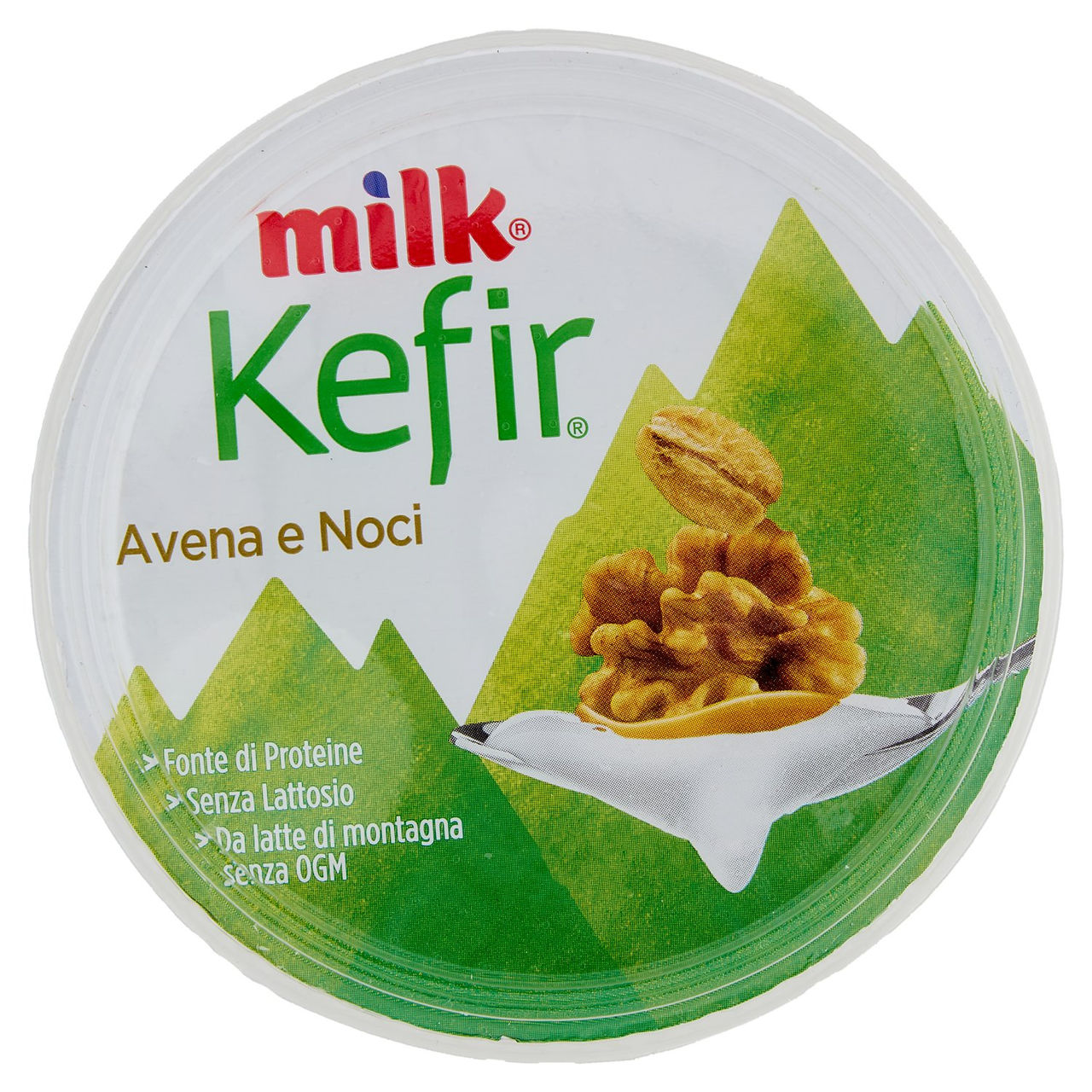 Milk Kefir Avena e Noci 400 g