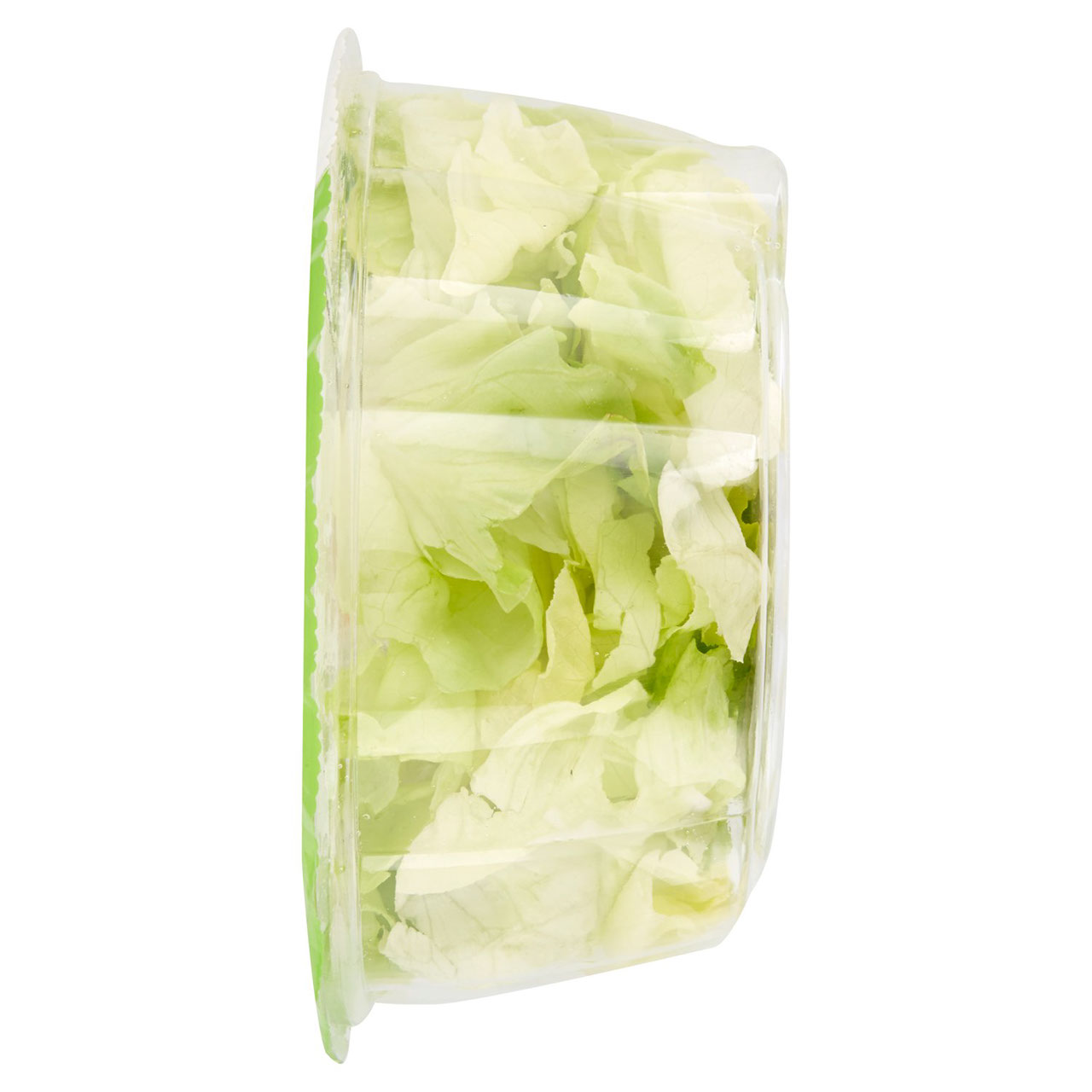 ortomad la Mia insalatona Ciotola Lattuga 0,150 kg