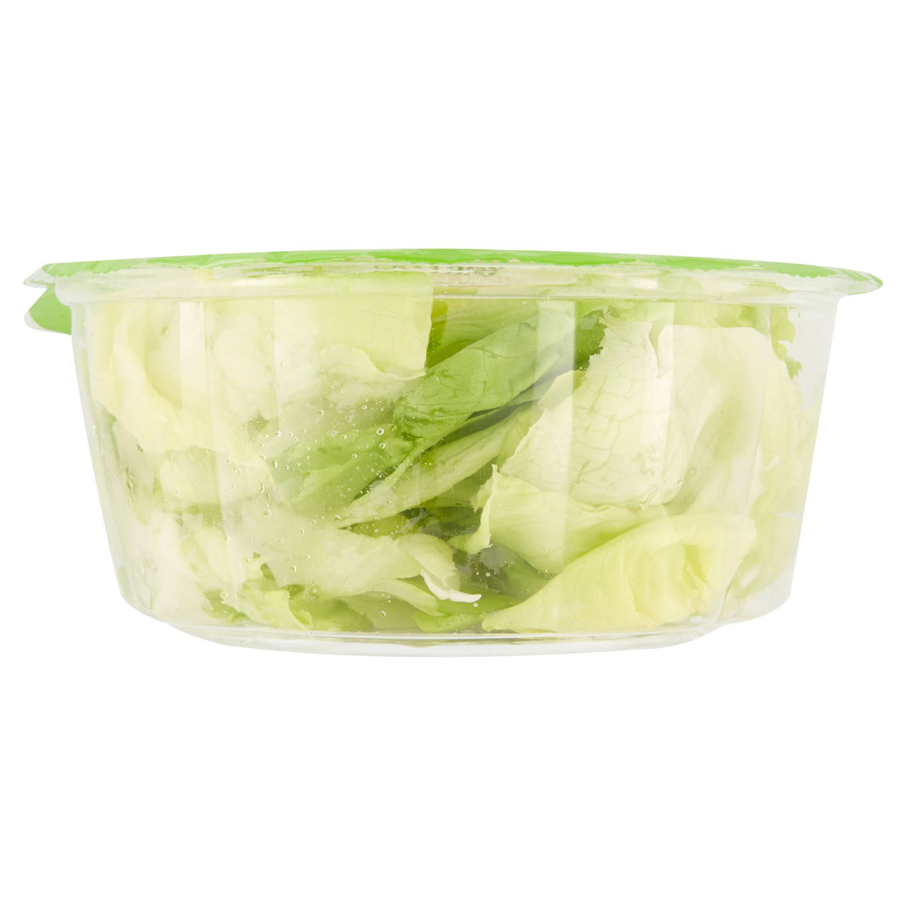 ortomad la Mia insalatona Ciotola Lattuga 0,150 kg
