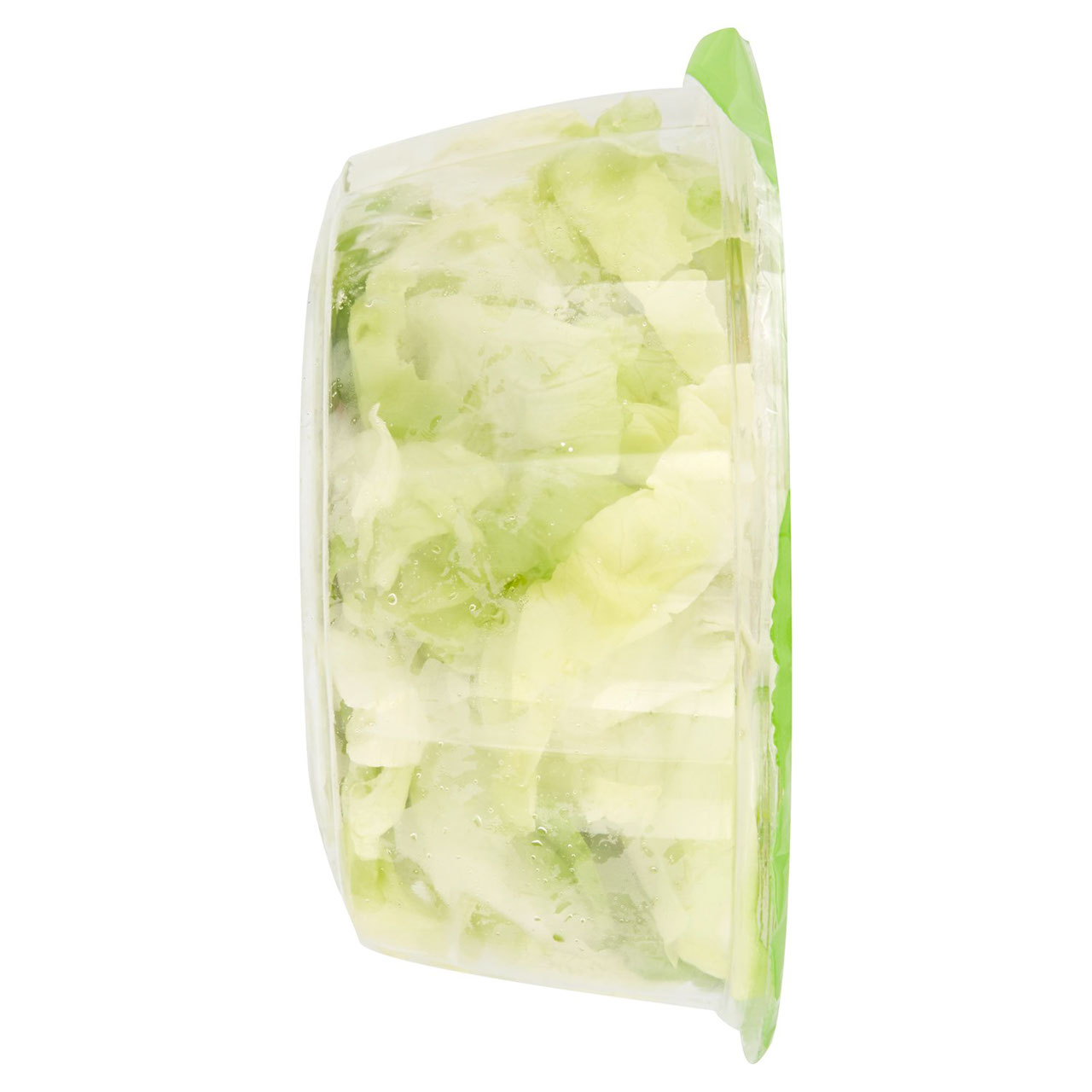 ortomad la Mia insalatona Ciotola Lattuga 0,150 kg