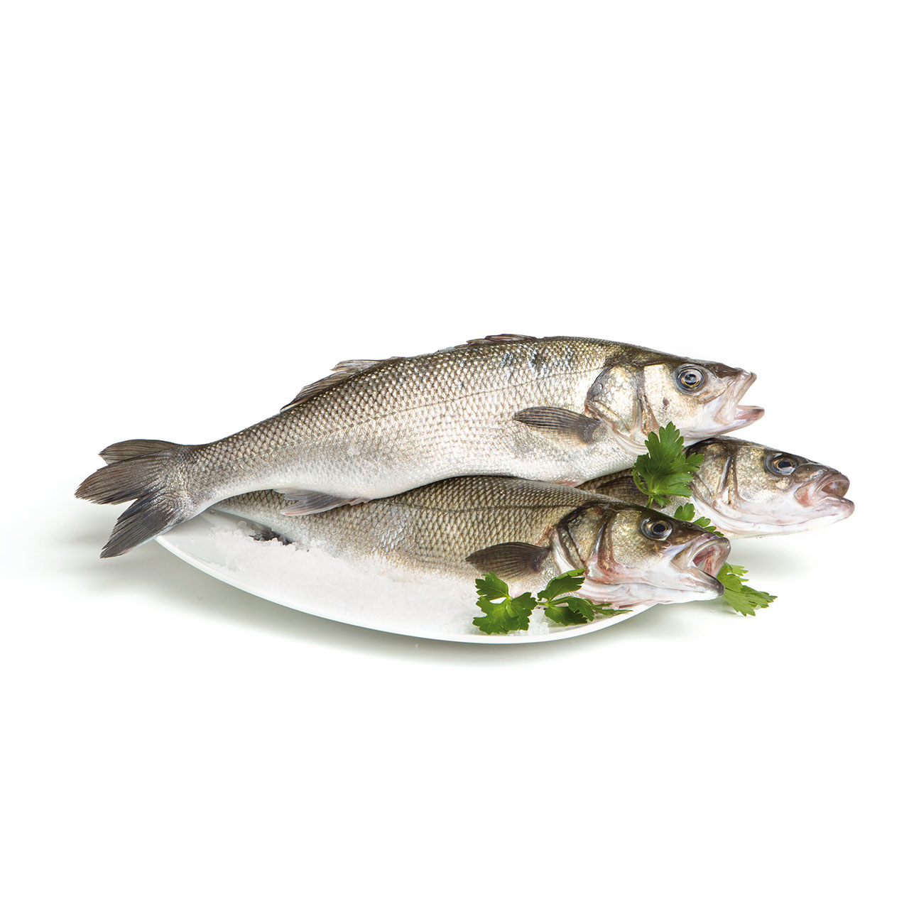 Percorso Qualità Branzino 200/300 Fresco Allevato in Italia CONAD