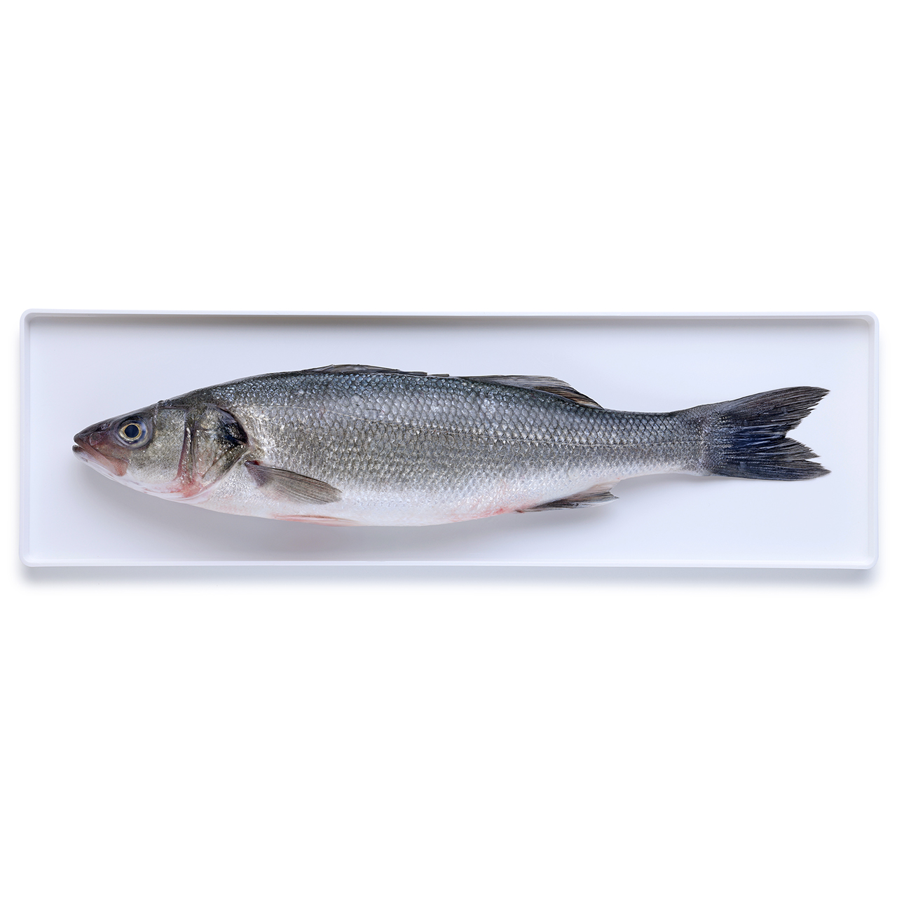 Percorso Qualità Branzino 800/1000 Allevato in Italia