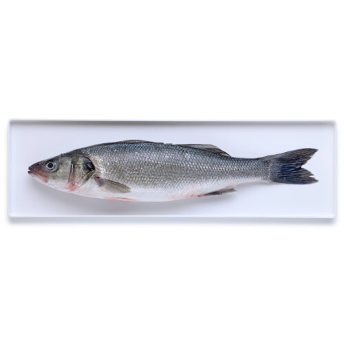 Percorso Qualità Branzino Fresco Allevato in Italia CONAD