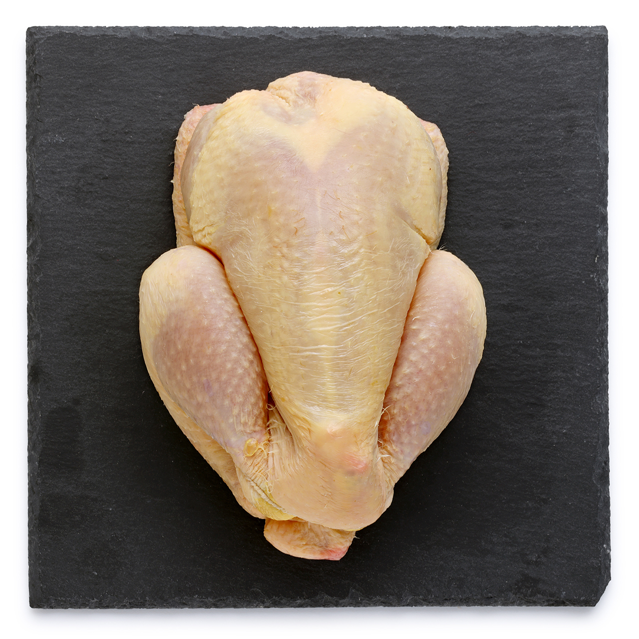 Percorso Qualità Galletto Livornese Intero CONAD