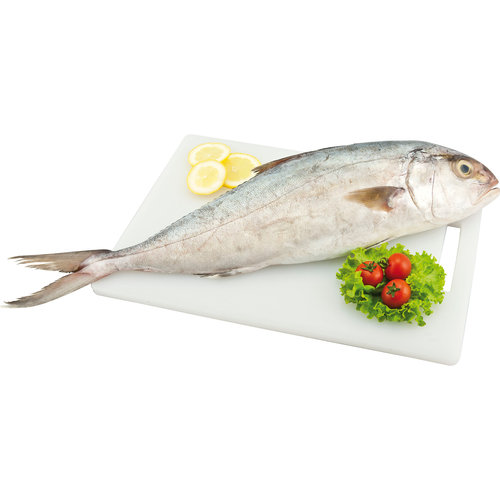 Percorso Qualità Ombrina Boccadoro 1000/2000 Allevata in Italia Fresca Eviscerata CONAD