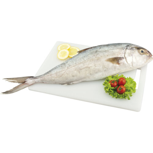 Percorso Qualità Ricciola Oceanica 2000/3000 Fresca Antibiotic-Free CONAD