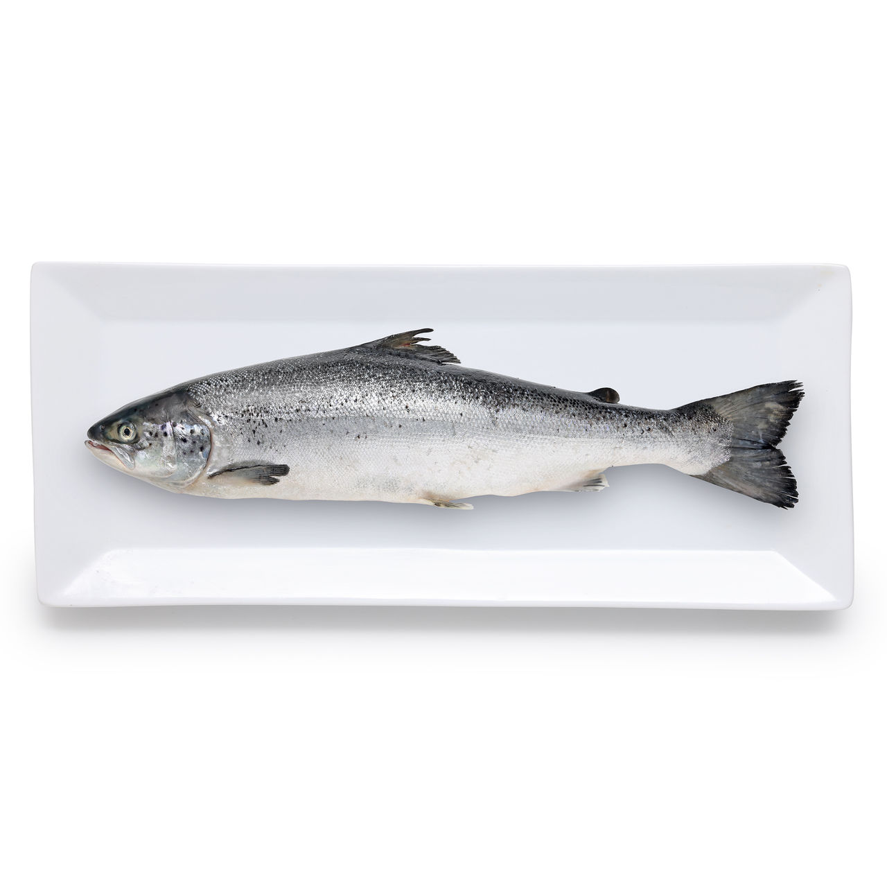 Percorso Qualità Salmone Norvegese Fresco CONAD