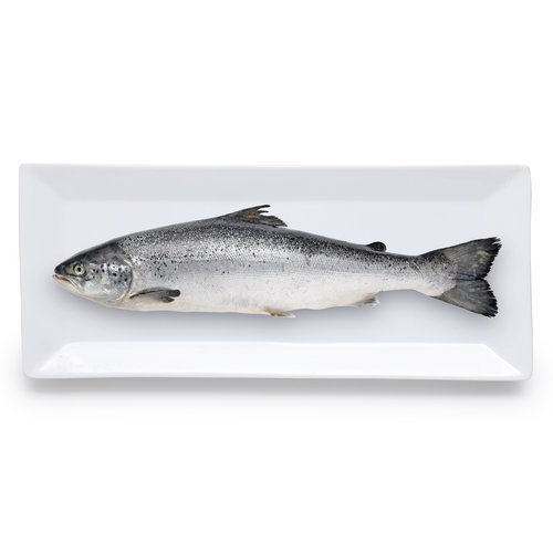 Percorso Qualità Salmone Norvegese Fresco CONAD