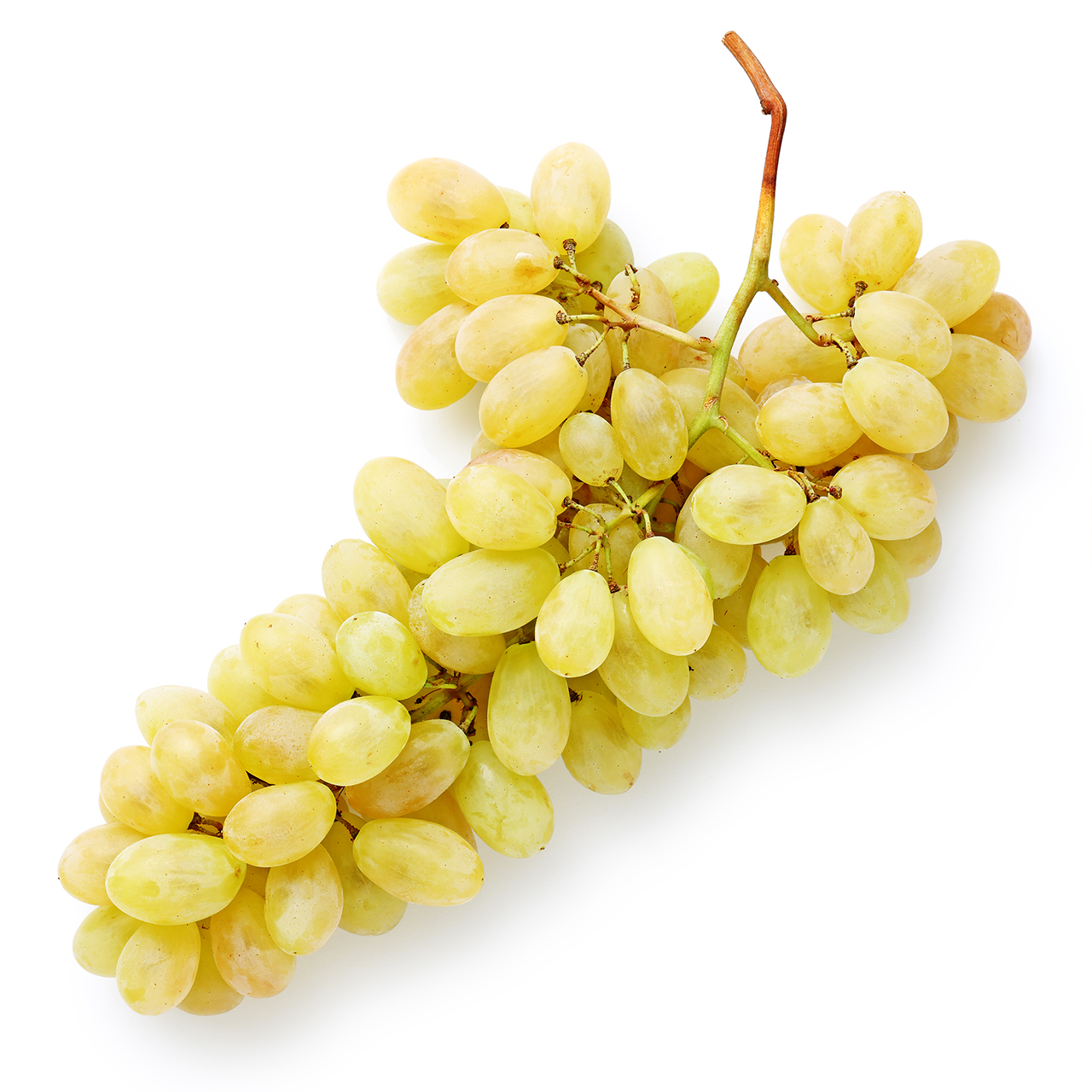 Percorso Qualità Uva Bianca Pizzutella Origine Italia Cat. I CONAD